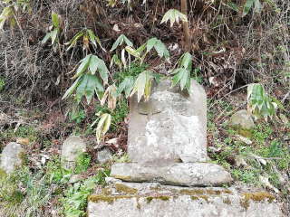 画像に含まれている可能性があるもの:木、屋外